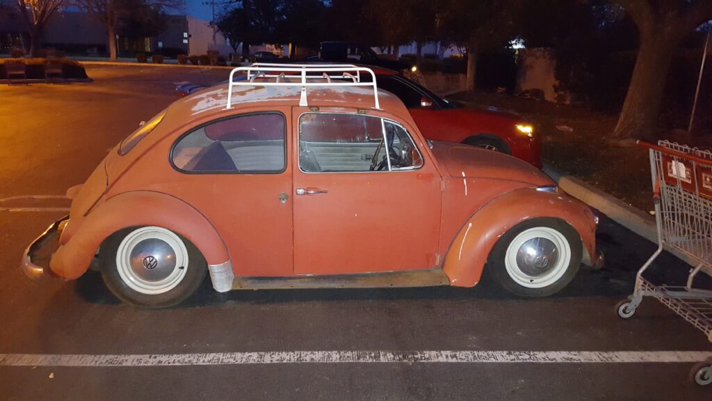 Jorge's Beetle